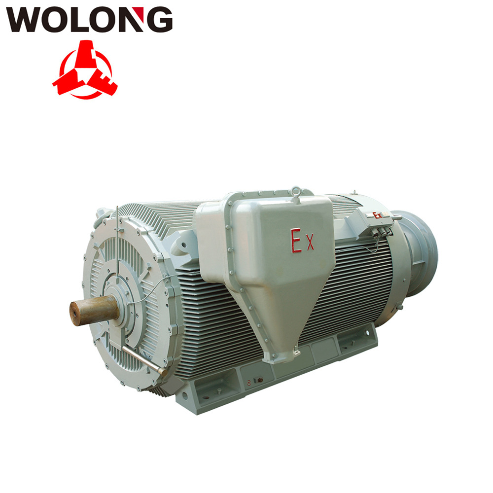 臥龍防爆電機(jī) 2極 4極 6極YBBP南陽防爆電機(jī) 變頻調(diào)速防爆電機(jī) 變頻防爆電機(jī)